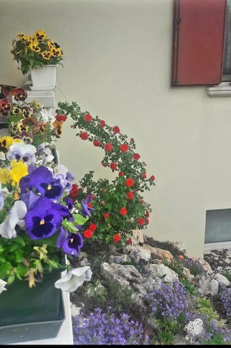 Villa Ama 波代诺内 外观 照片
